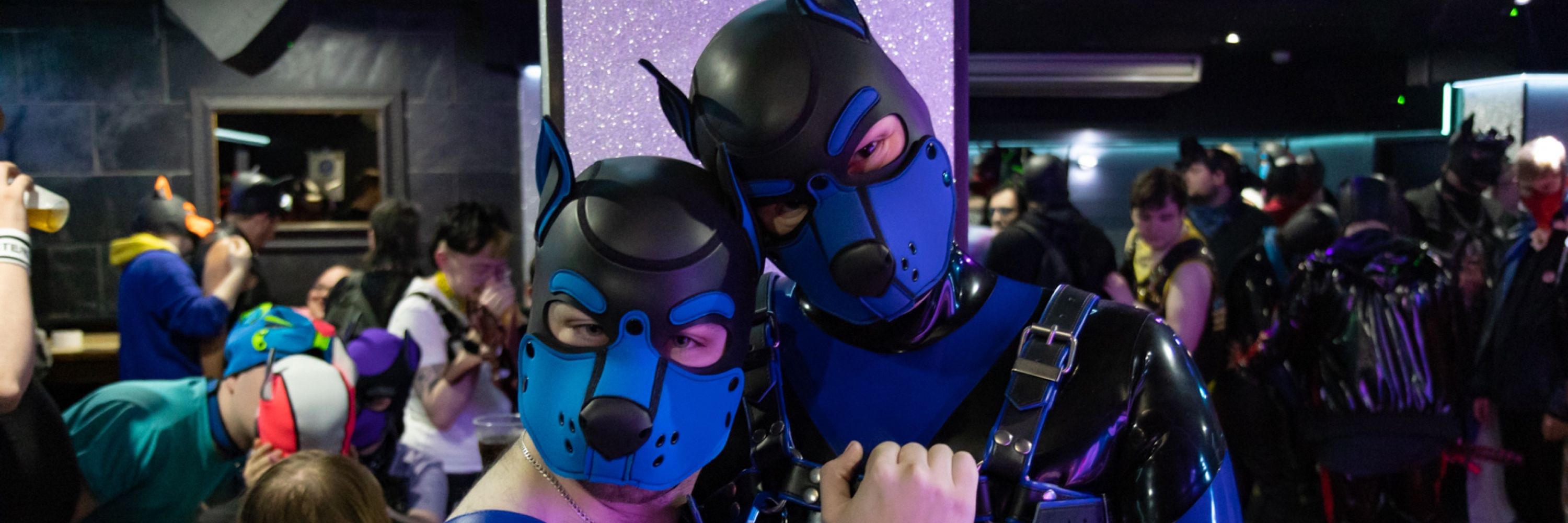 Ace Wolfy
