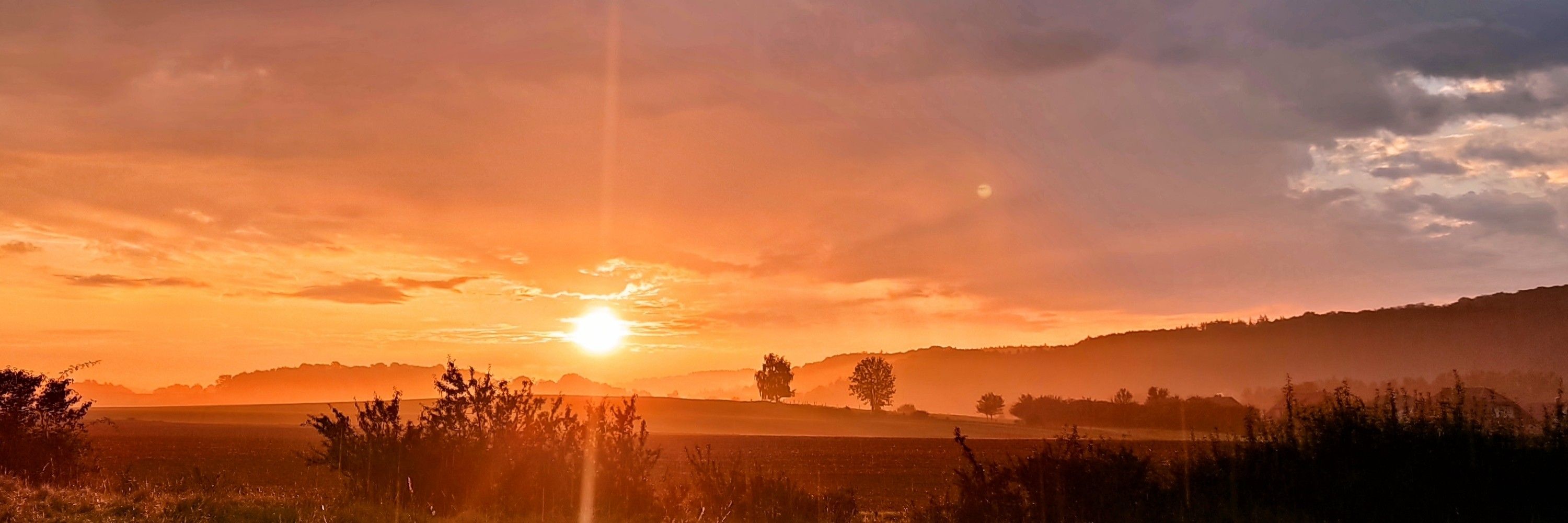 Sonne in den Speichen