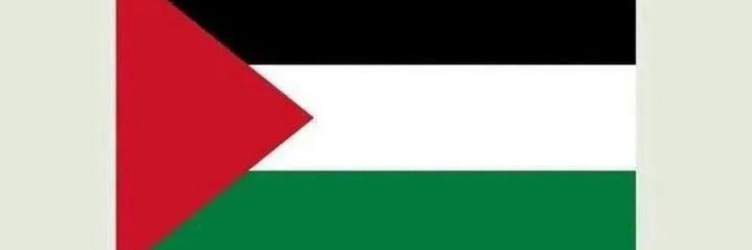 AbdullahQasem🇵🇸🌟