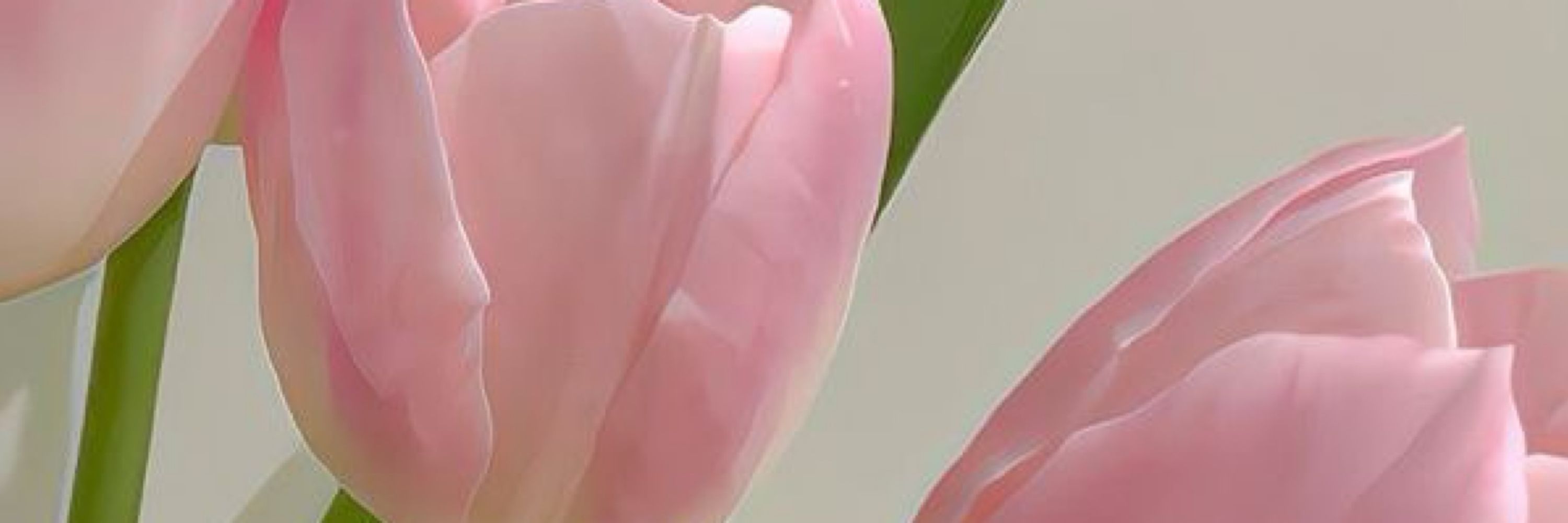 와코