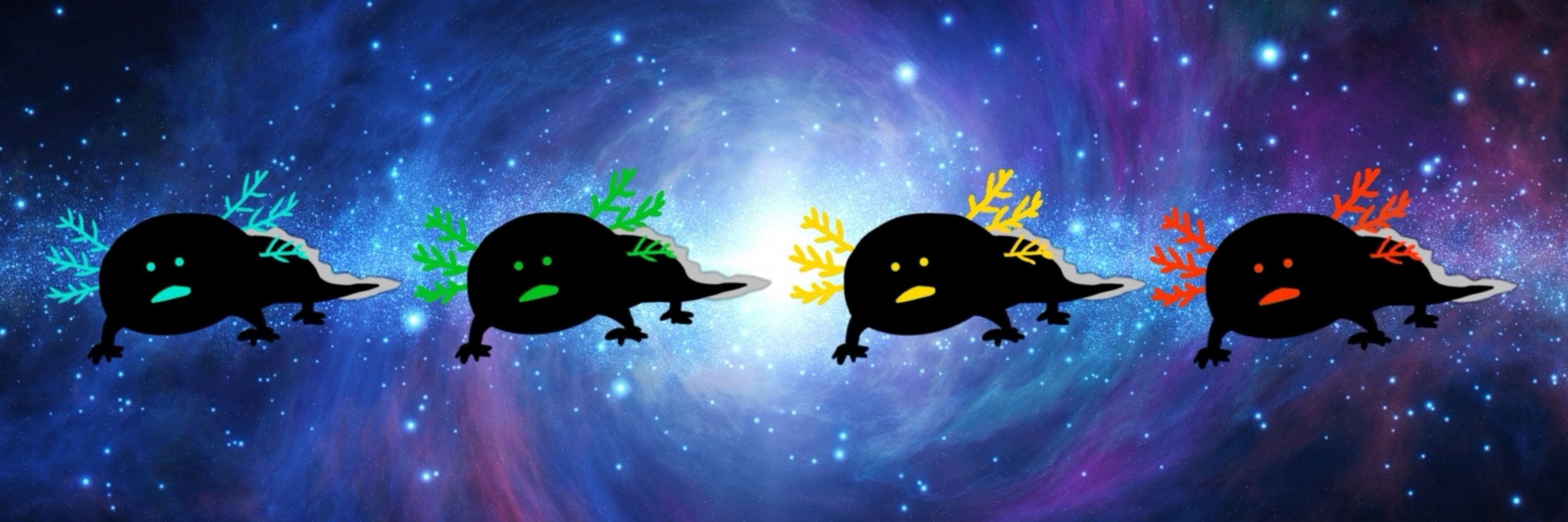 わむ