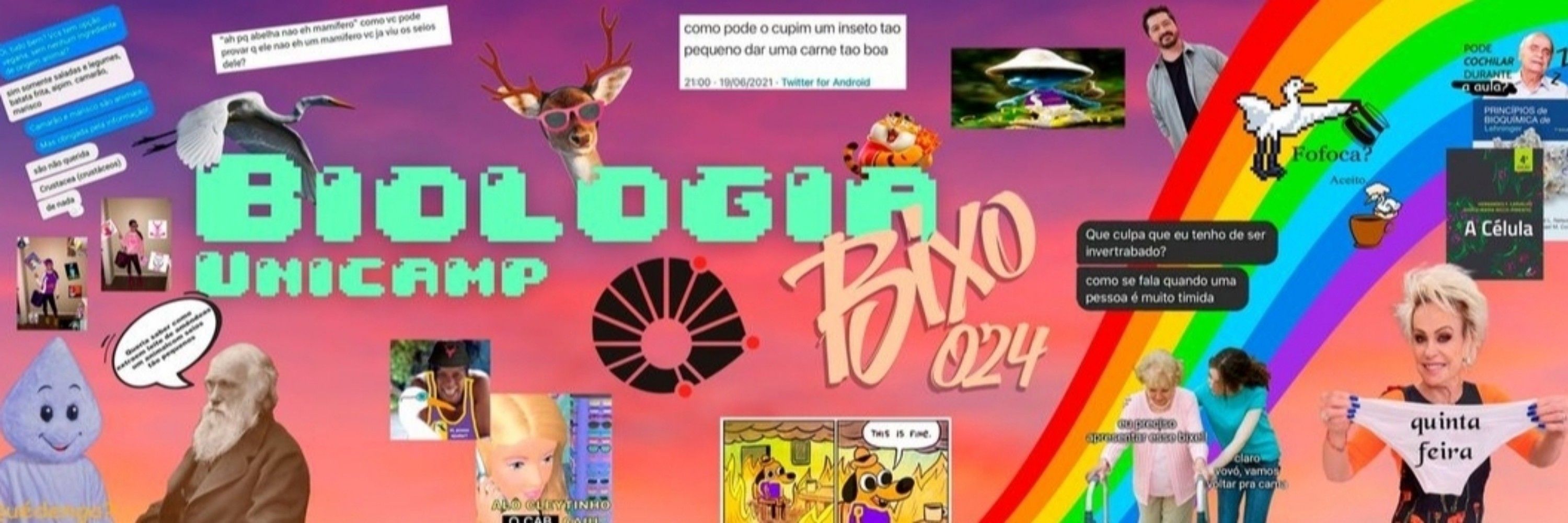 Pepxz