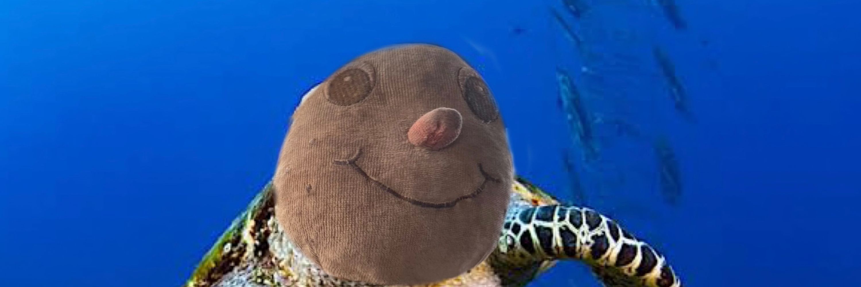 Realtututui (Slow)