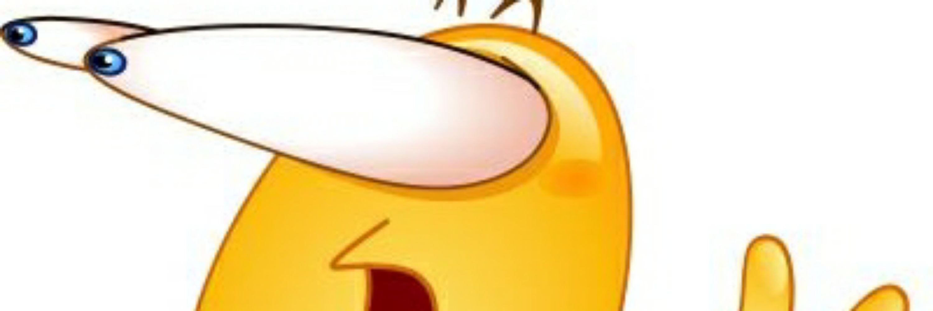 Lam