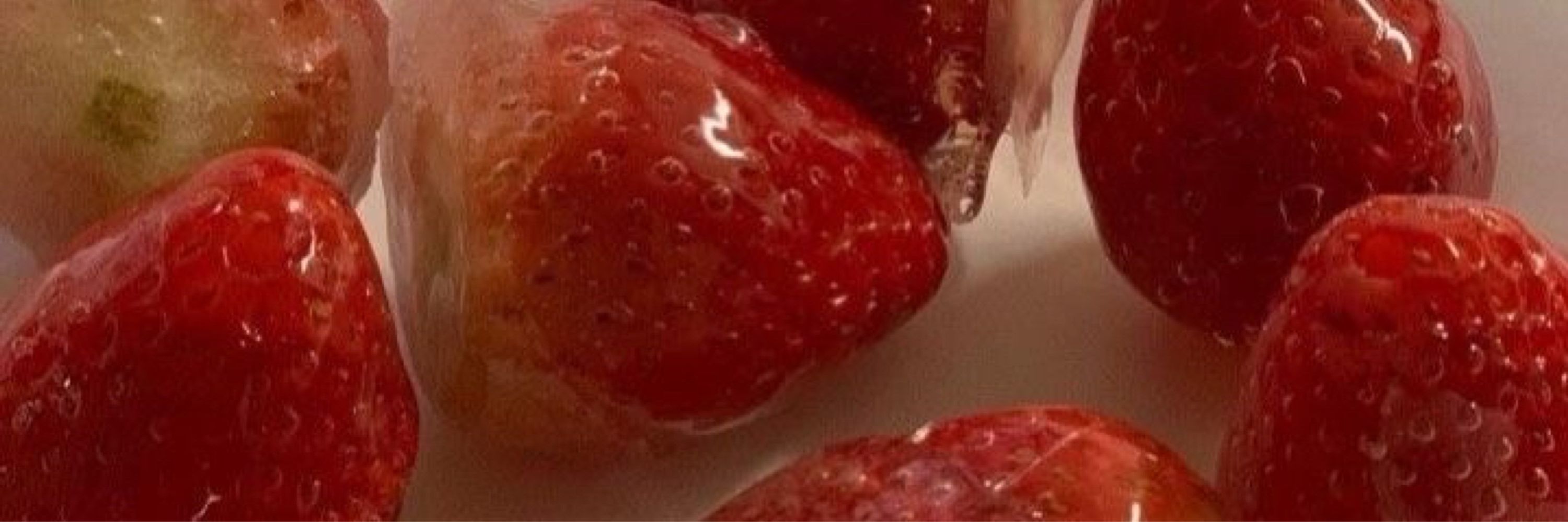 yu1i 🍮
