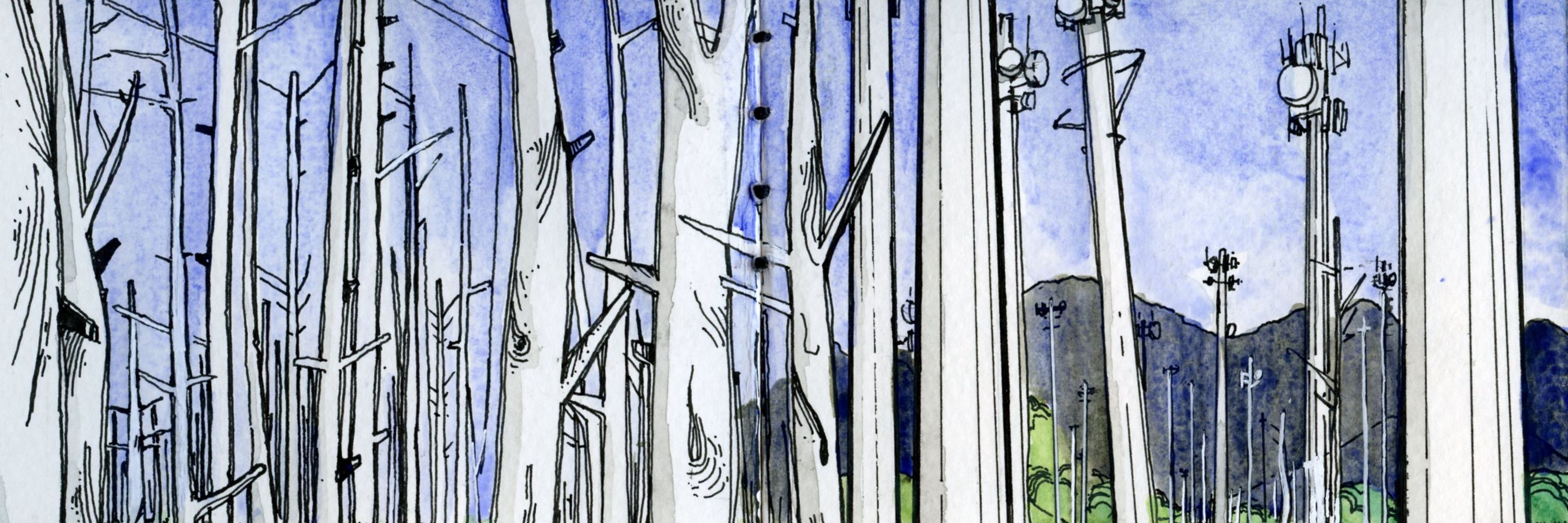 Tremulation