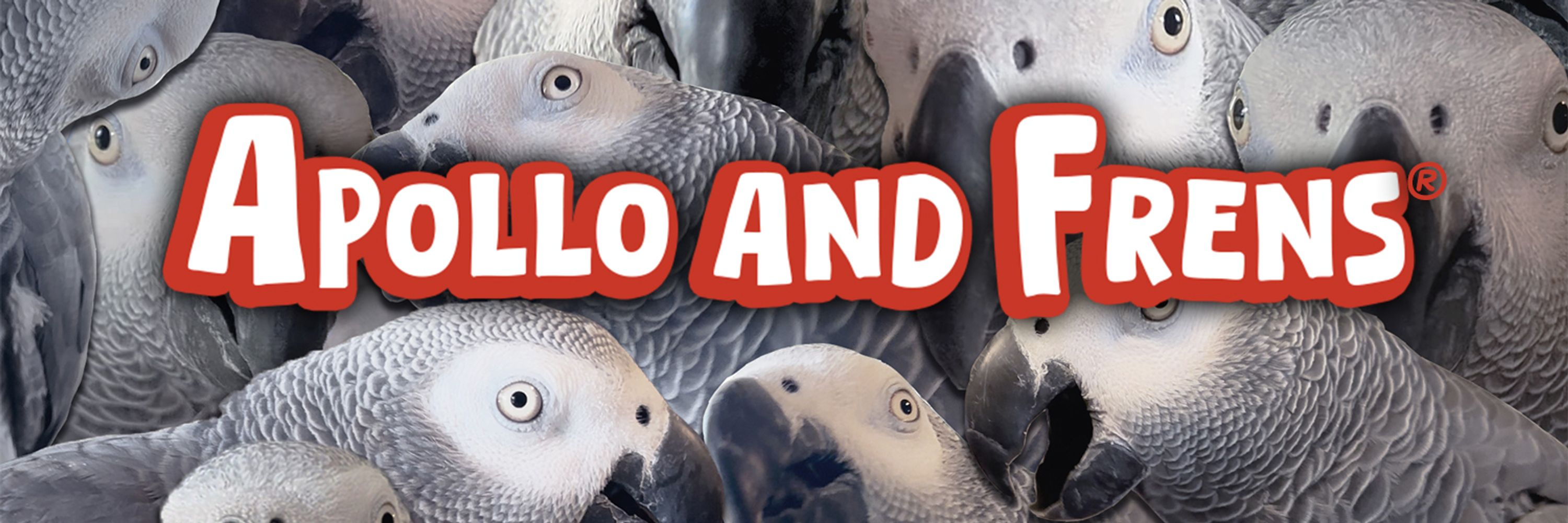 ApolloandFrens
