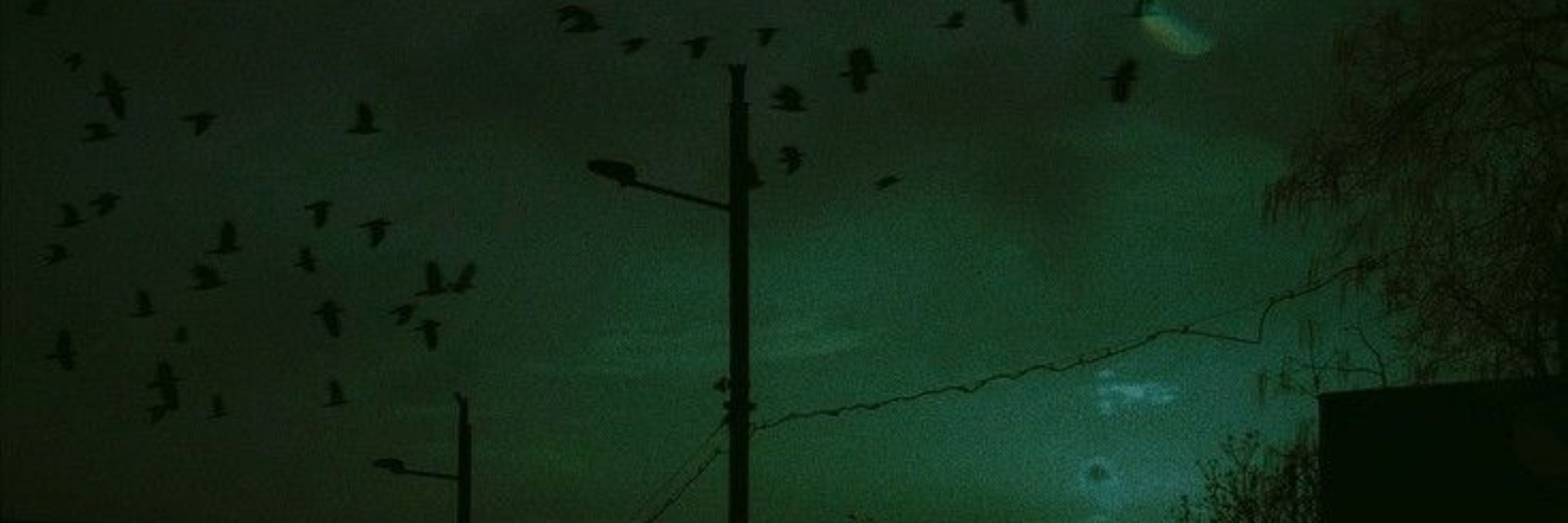 be.peck🥀