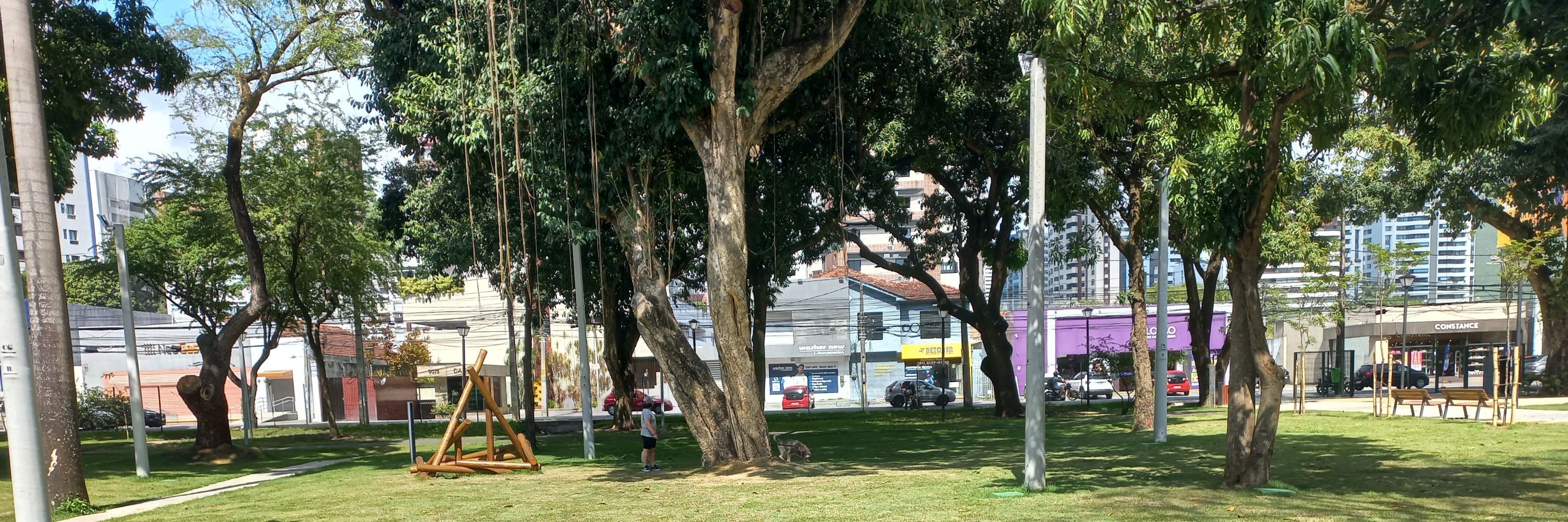 Super Man Invisível 