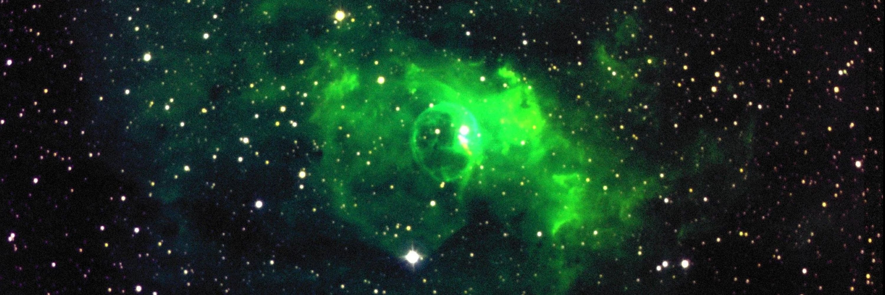 The Pickler