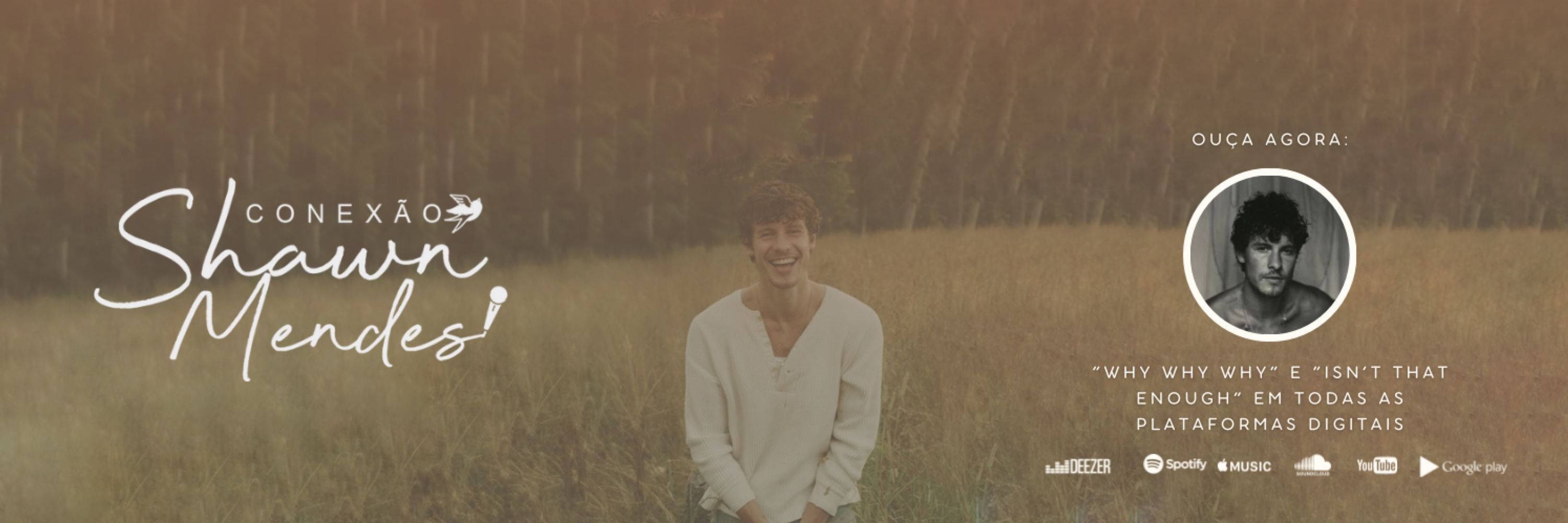 Conexão Shawn Mendes