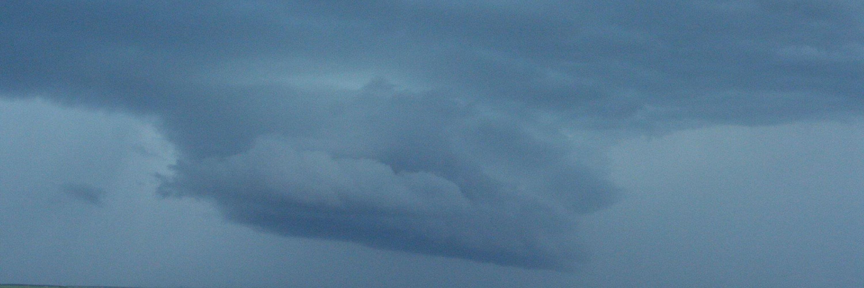 Joey Only - Cariboo Weather Dude