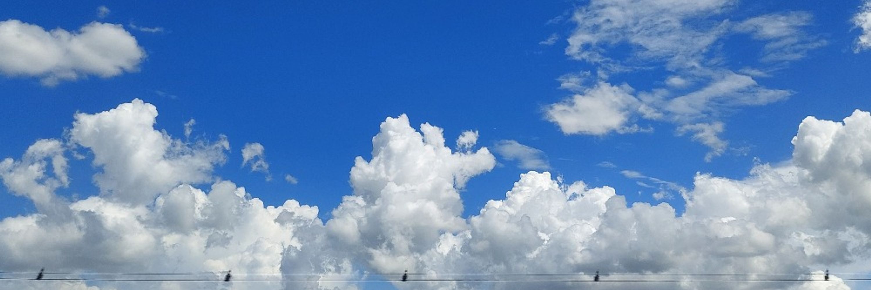 しおまめ