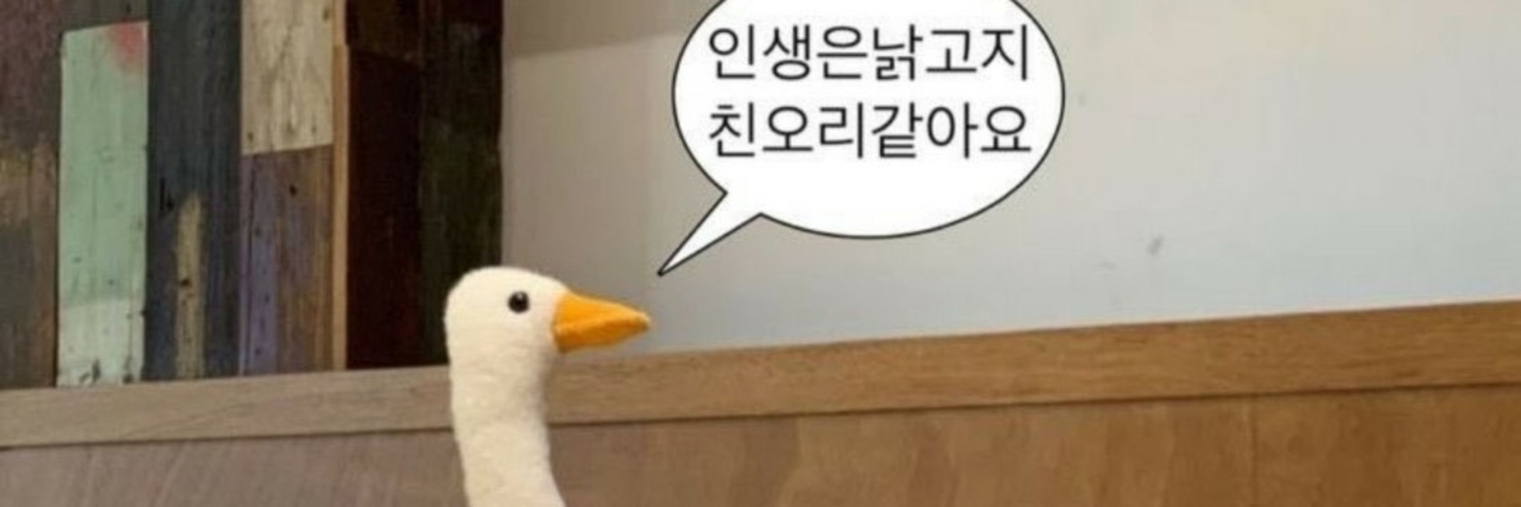 투잡뛰는 김문🌙