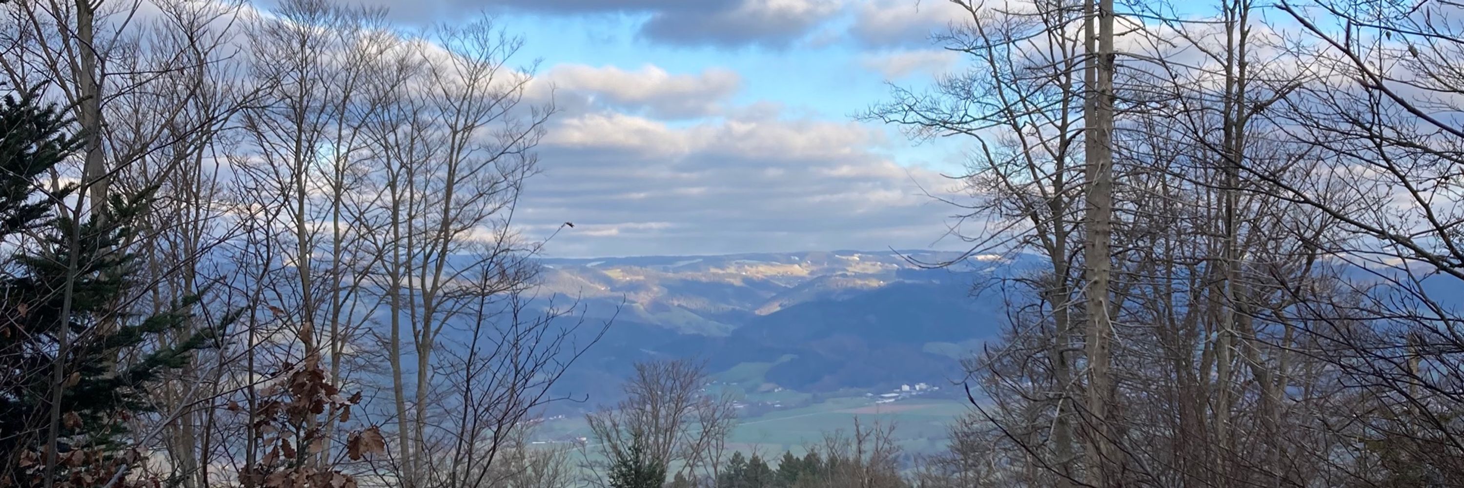 ludwig