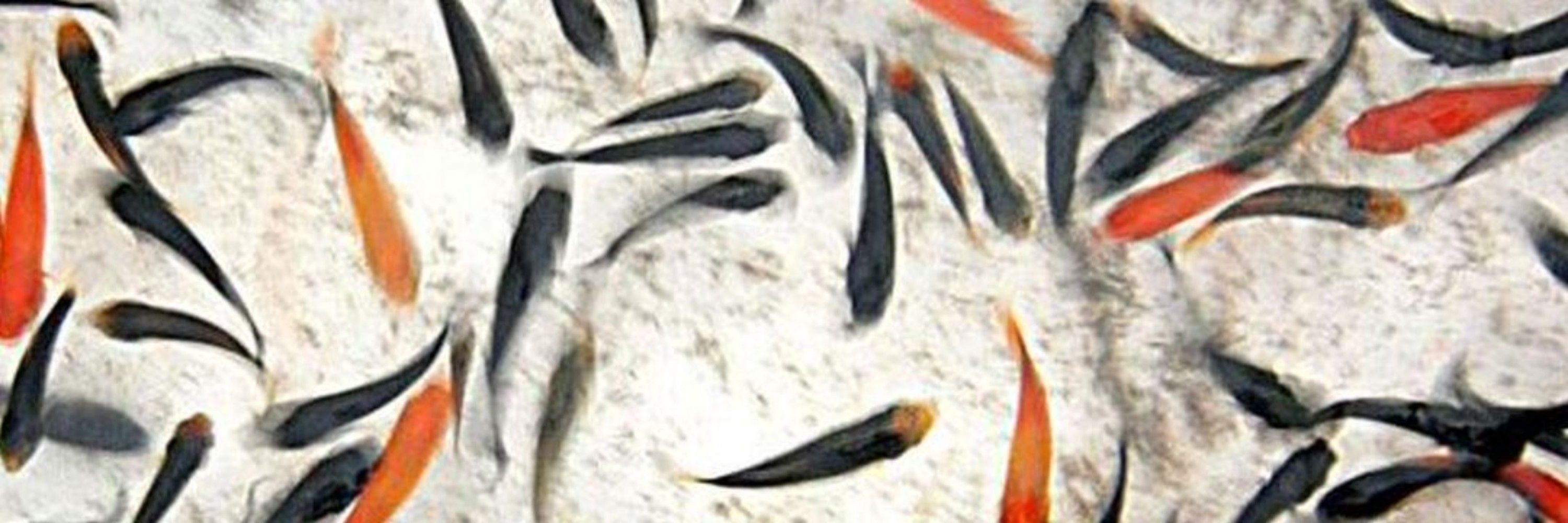 VVM