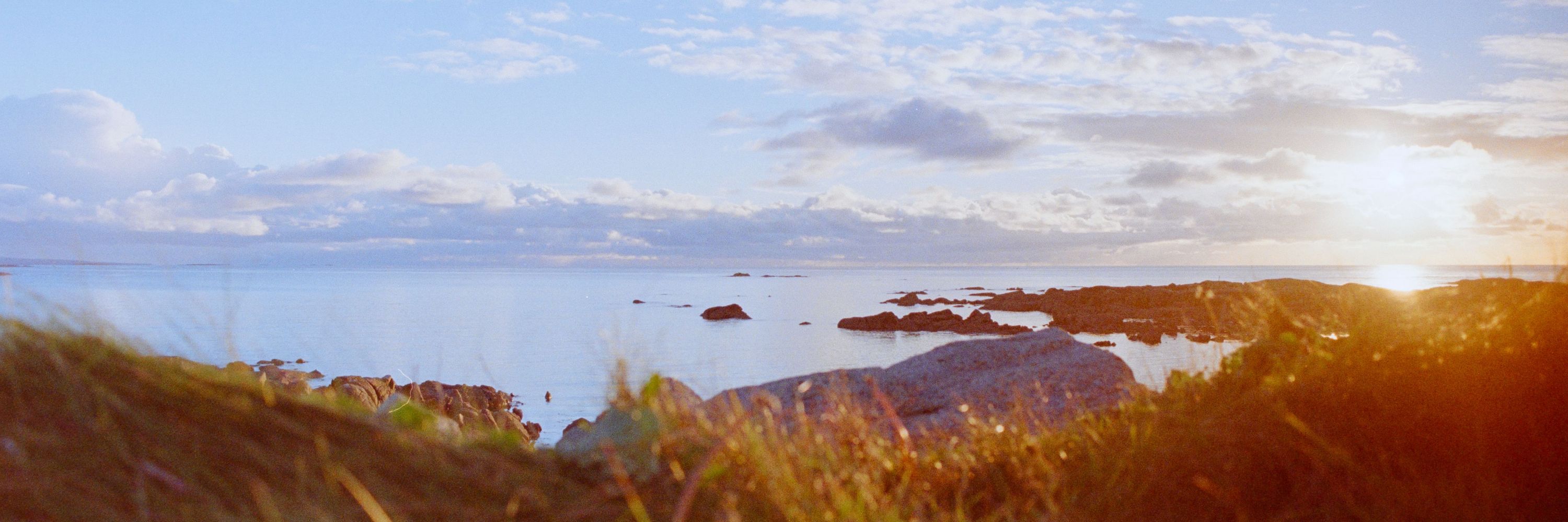 Niko 📷🇮🇪
