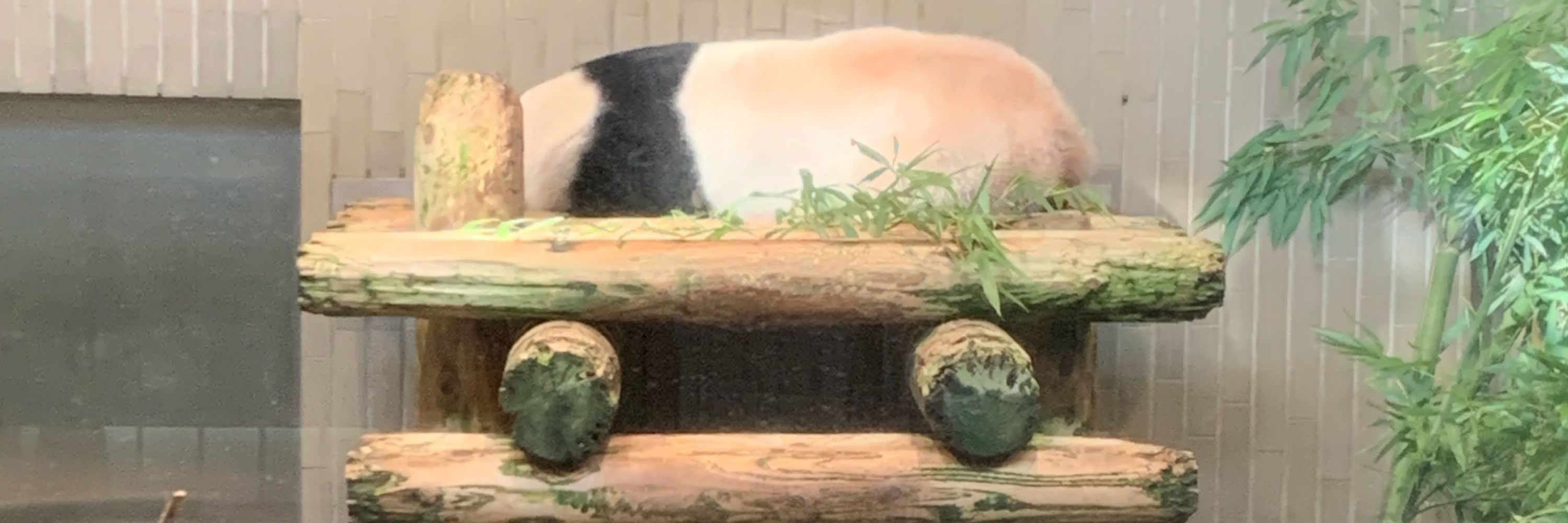 ラルフ・ヒンクリー
