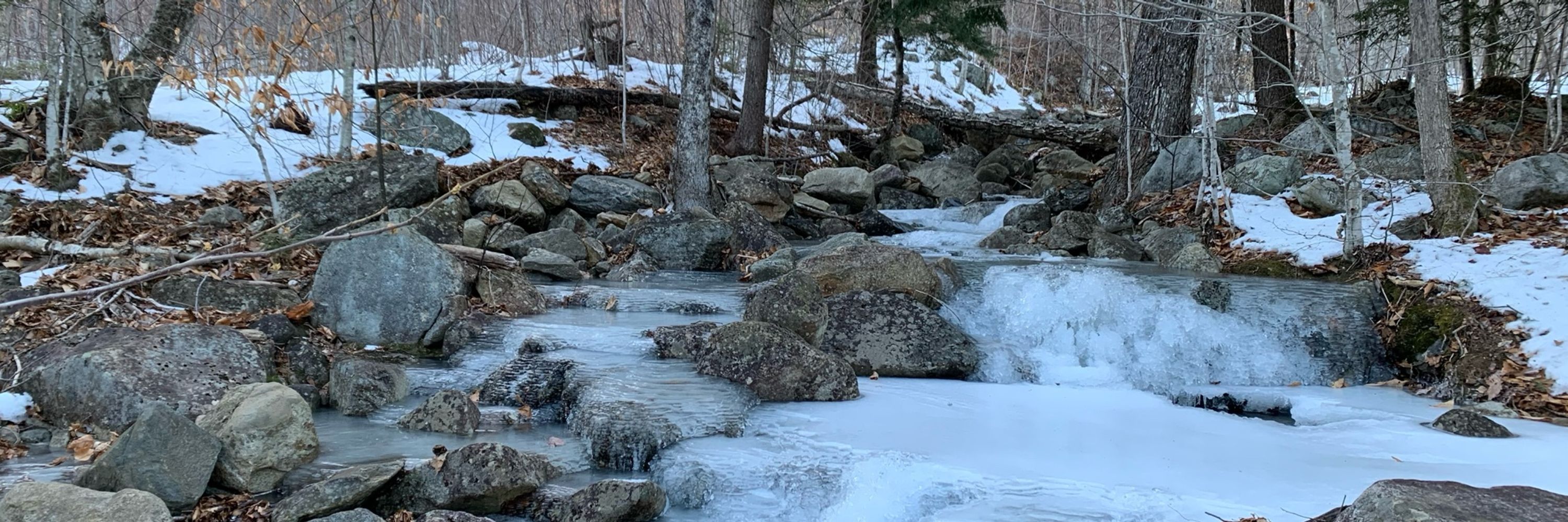 Upperhallpond