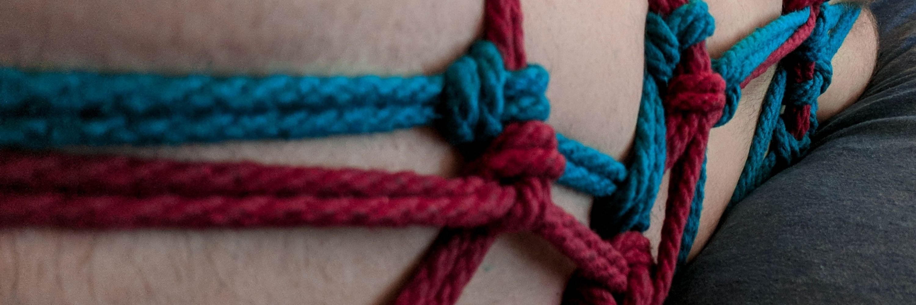 Rope Draak