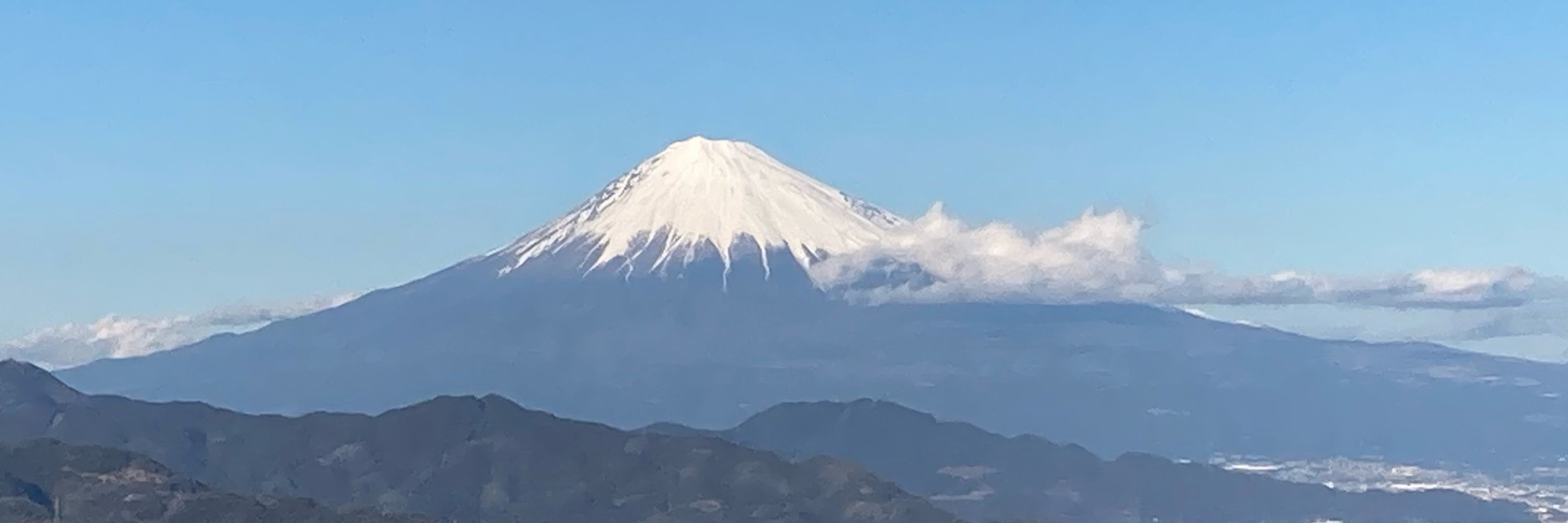 ハルコ