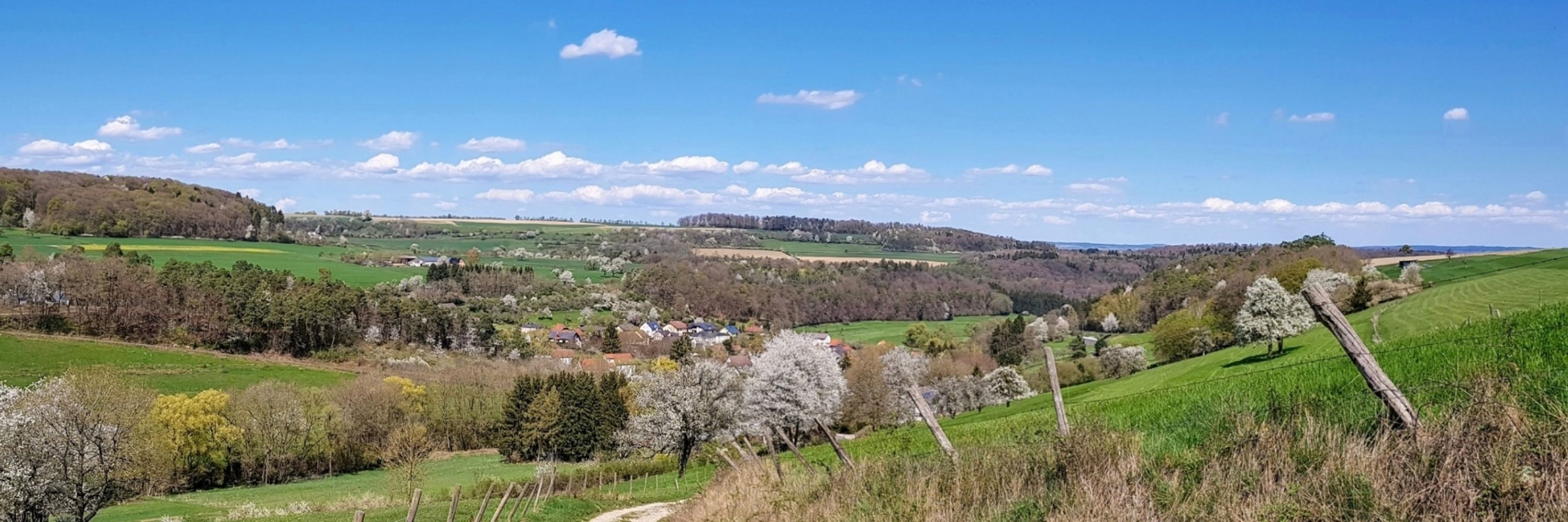 Michael Theis | Eifeler