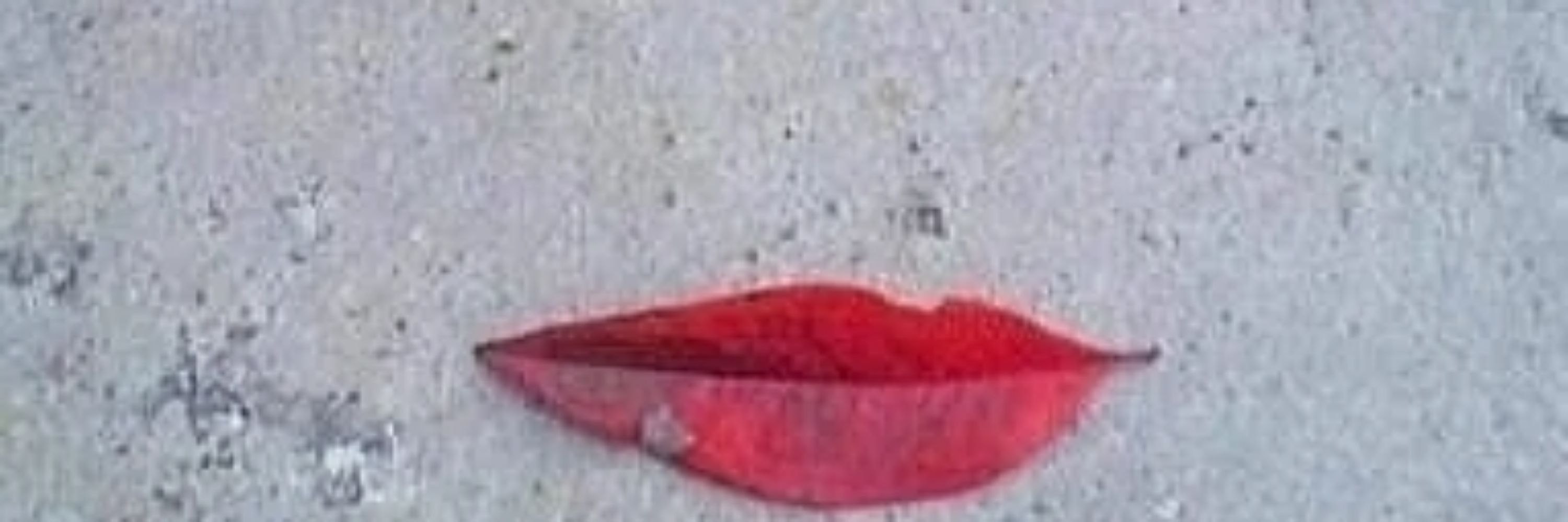Tad Hamilton