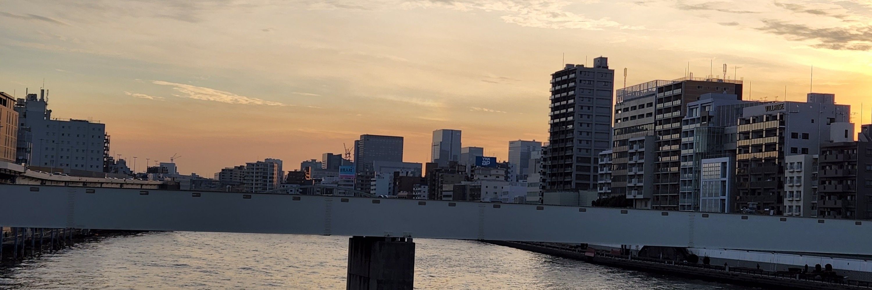 御堂紫音