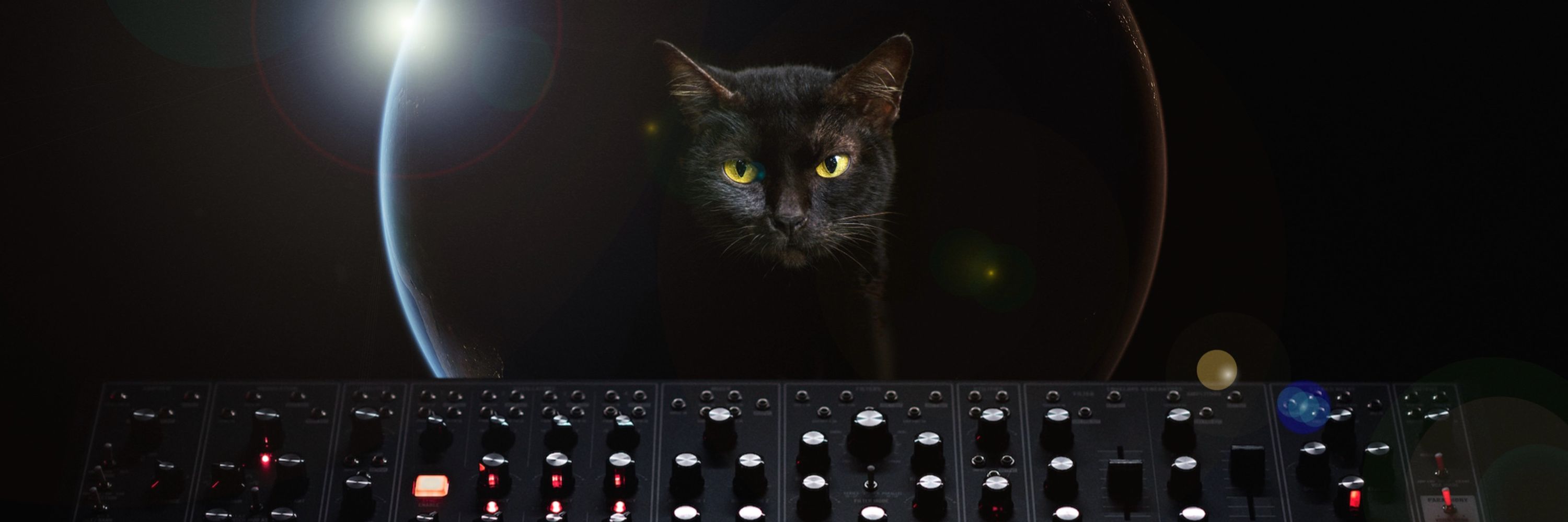 Cats On Synthesizers In Space