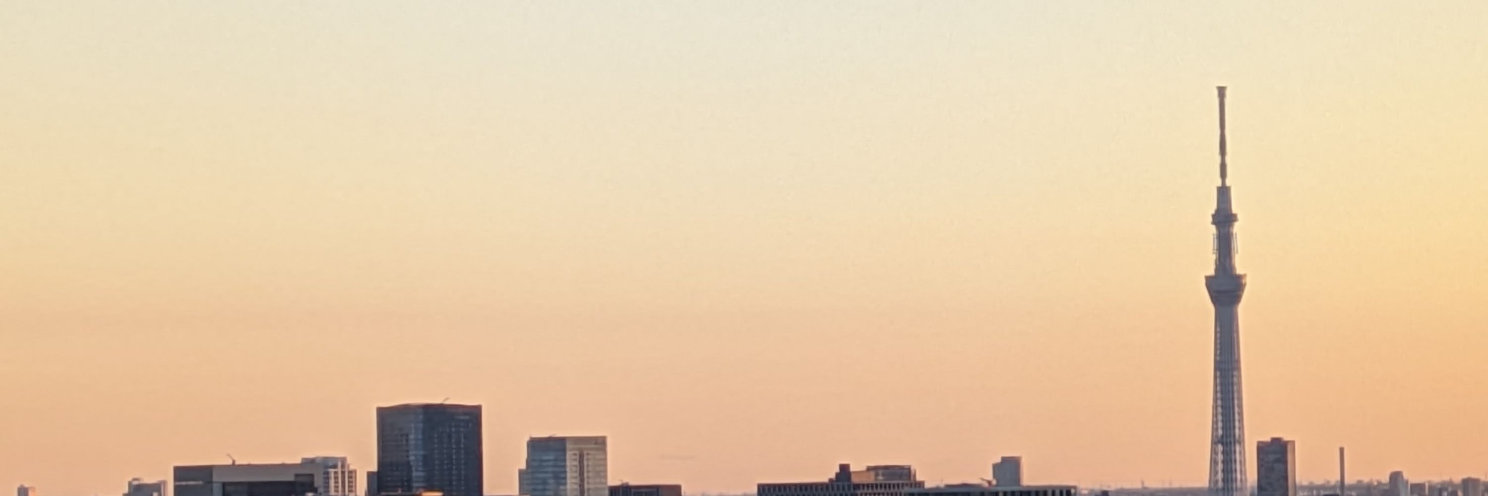 鮭