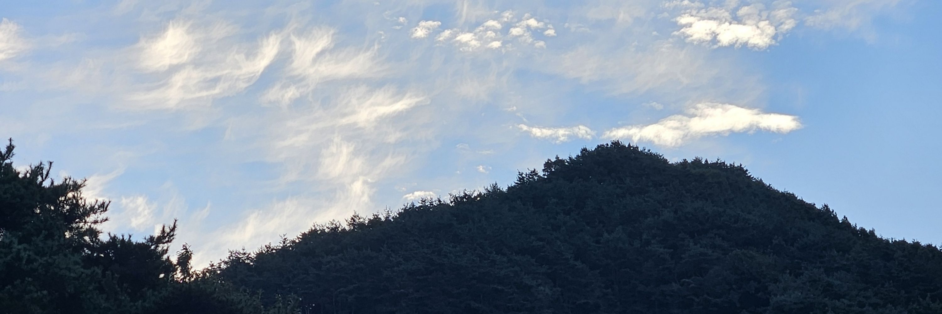 뽭얀