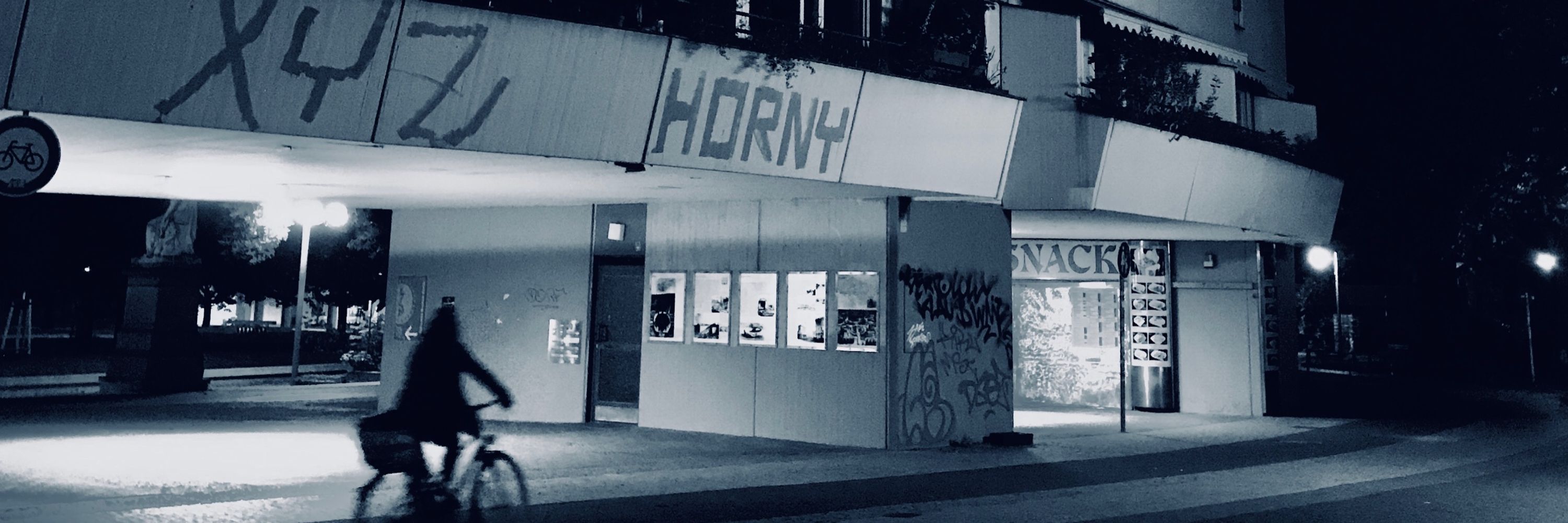 fomo sapiens (lyrik phase)
