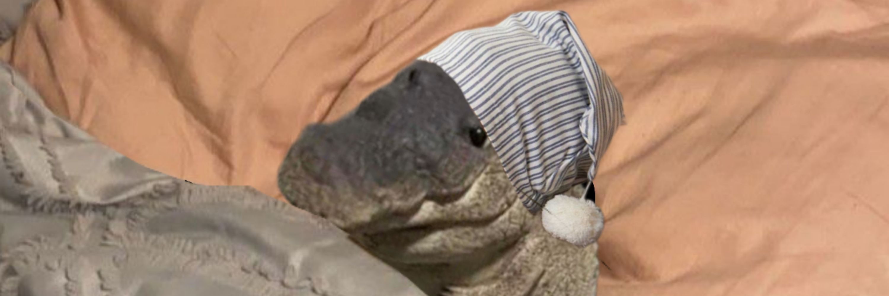 Zillian 