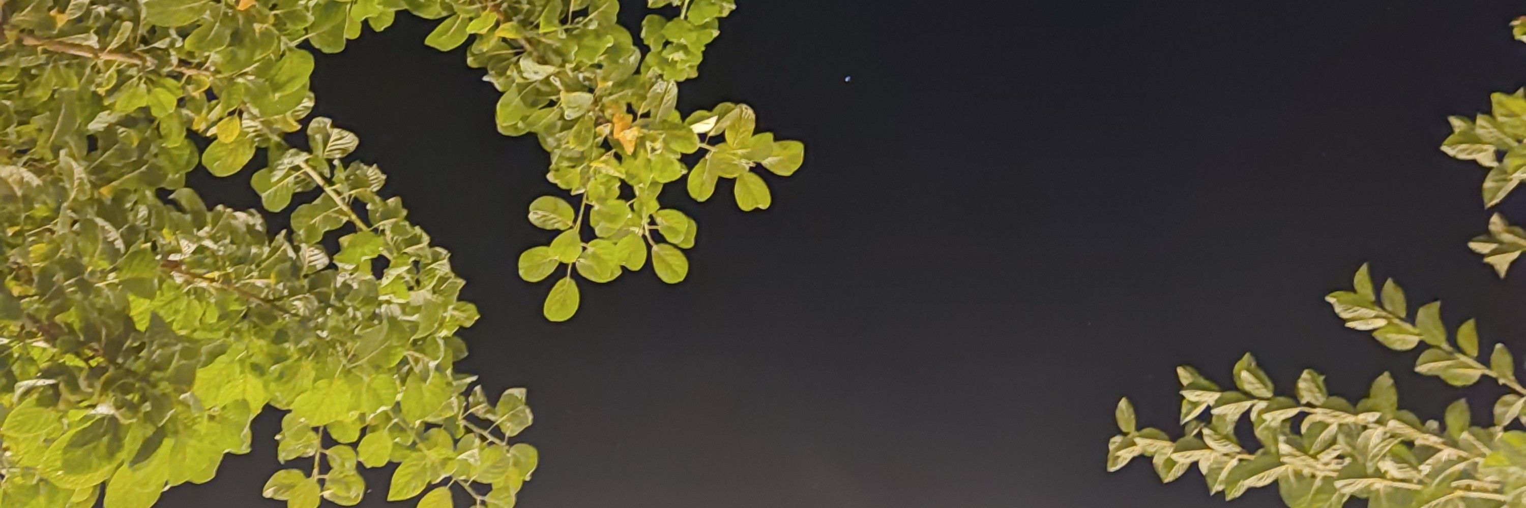 سنجاق‌قفلی