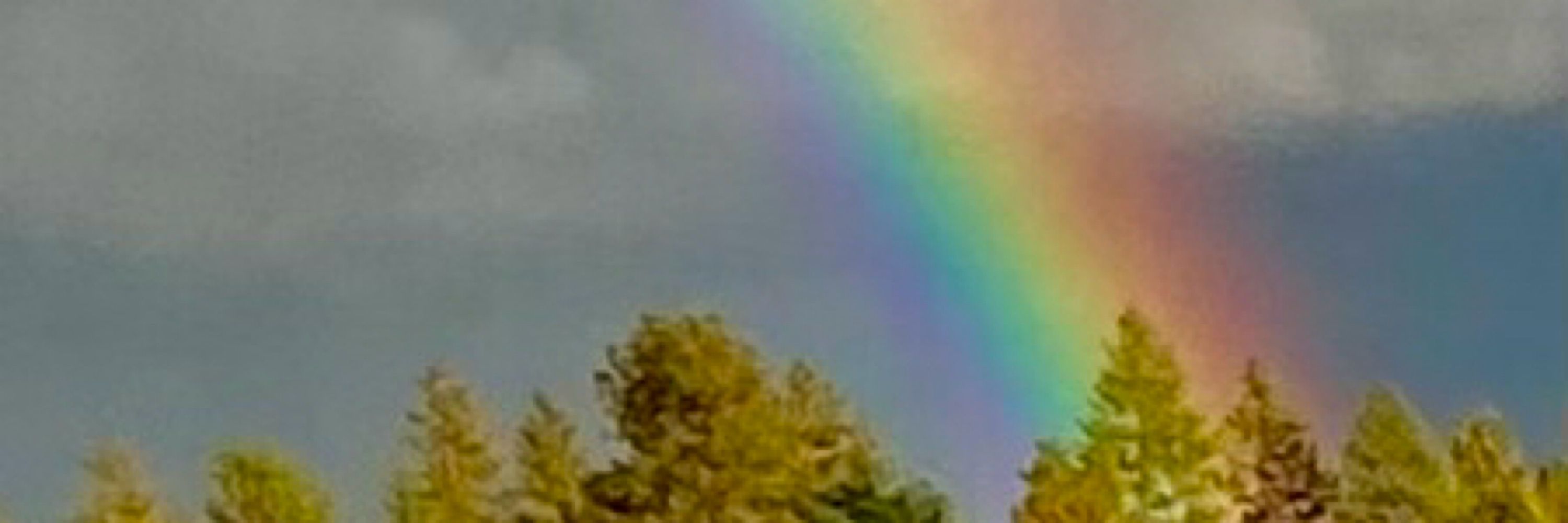 M Regenbogen