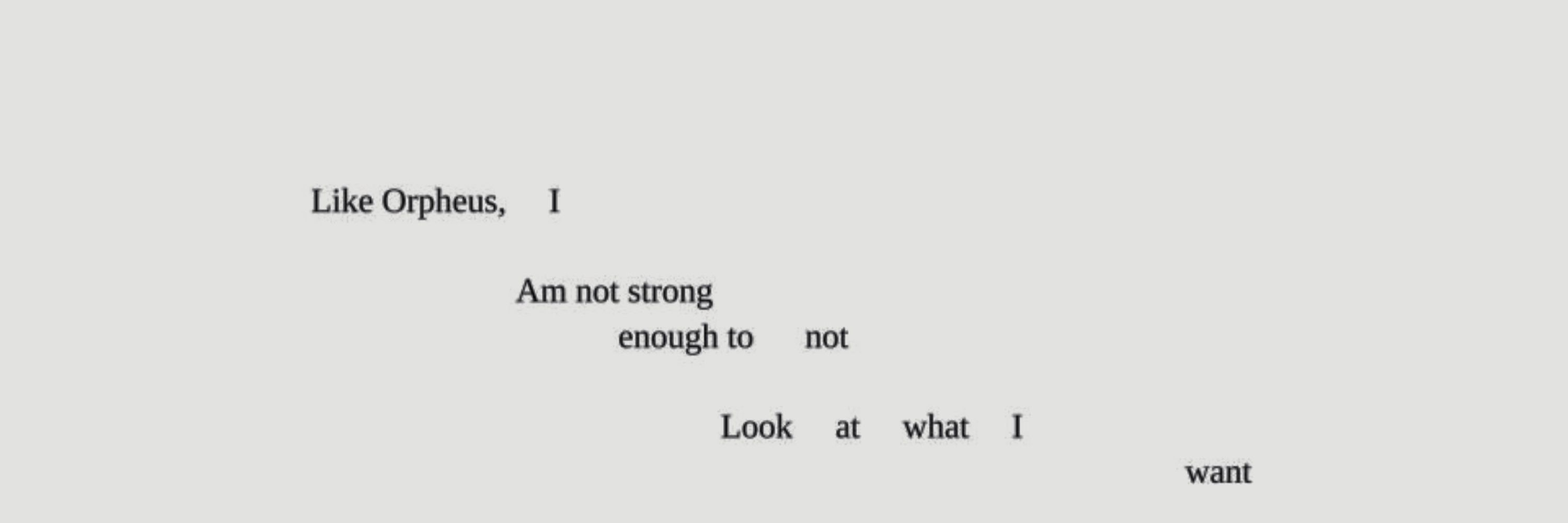 ⋆  ༘ v.