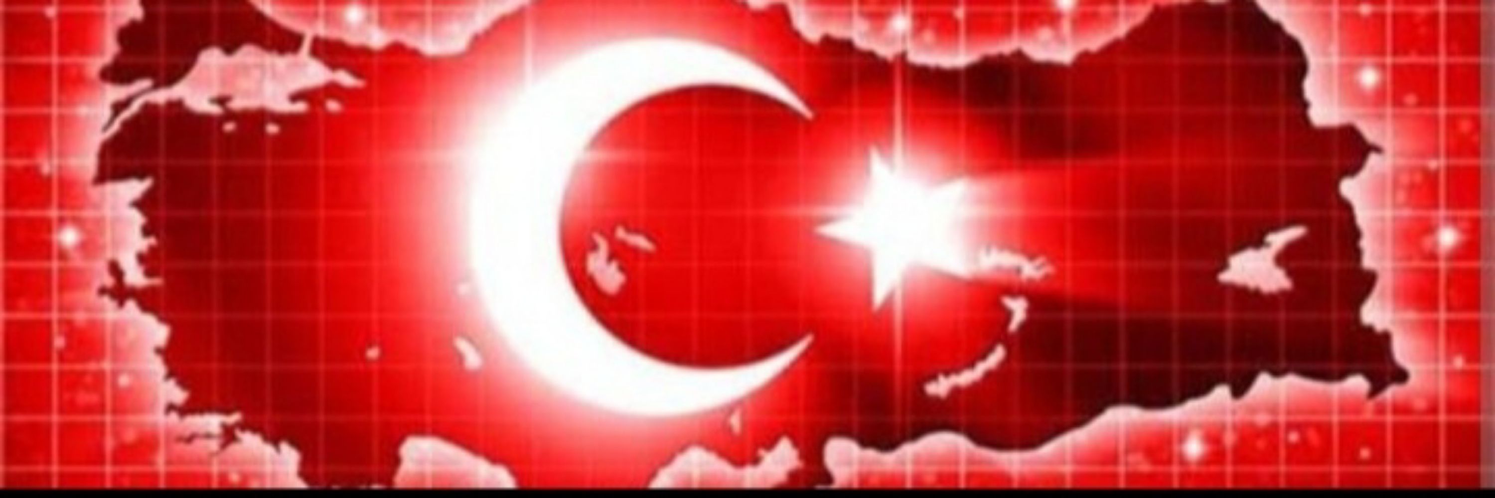 Nesibe Oktay