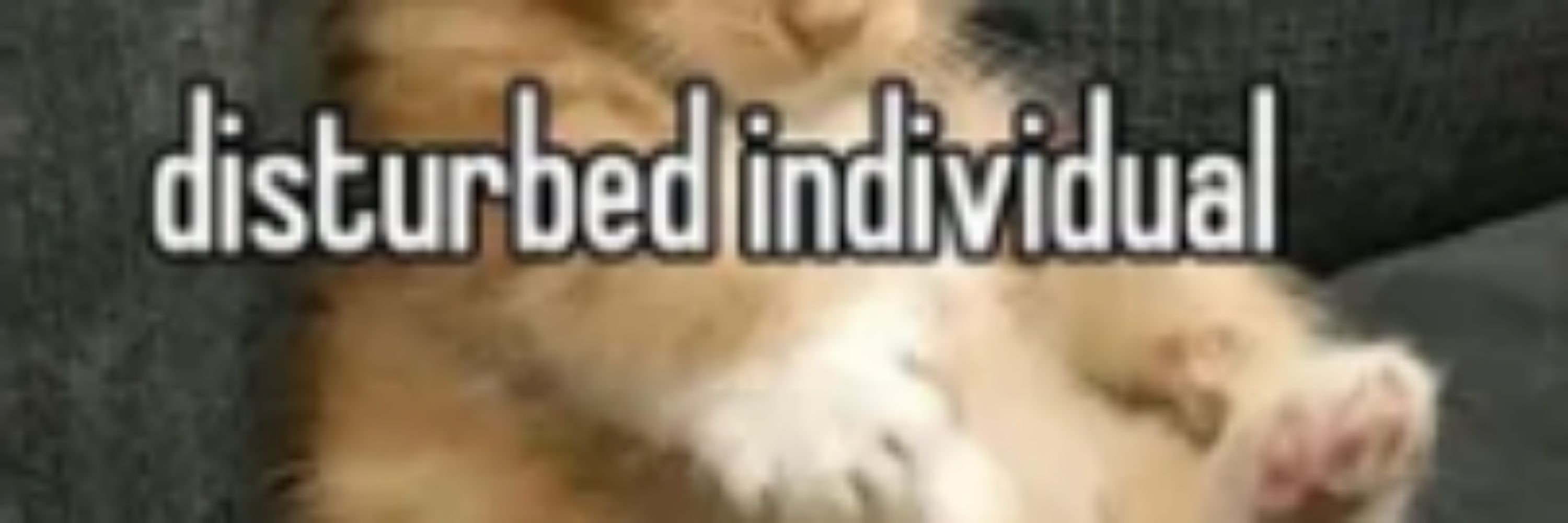 MeowkBerry