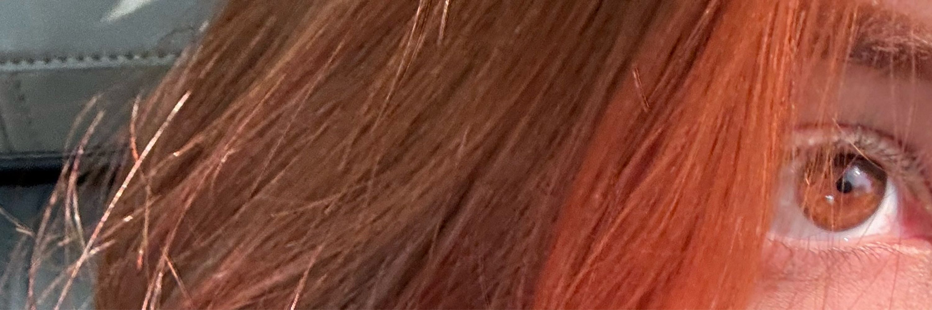 Nicolly 🦊