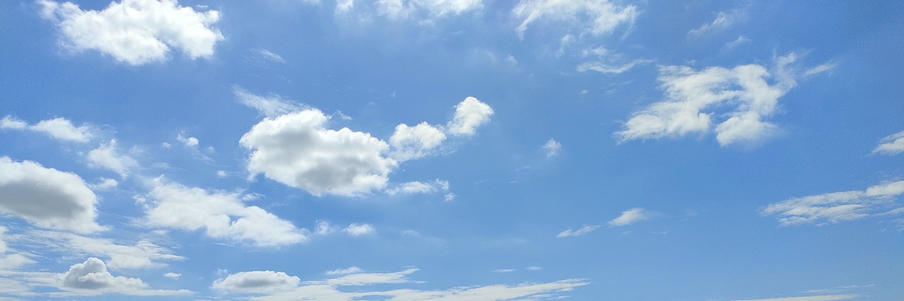 星ねこです
