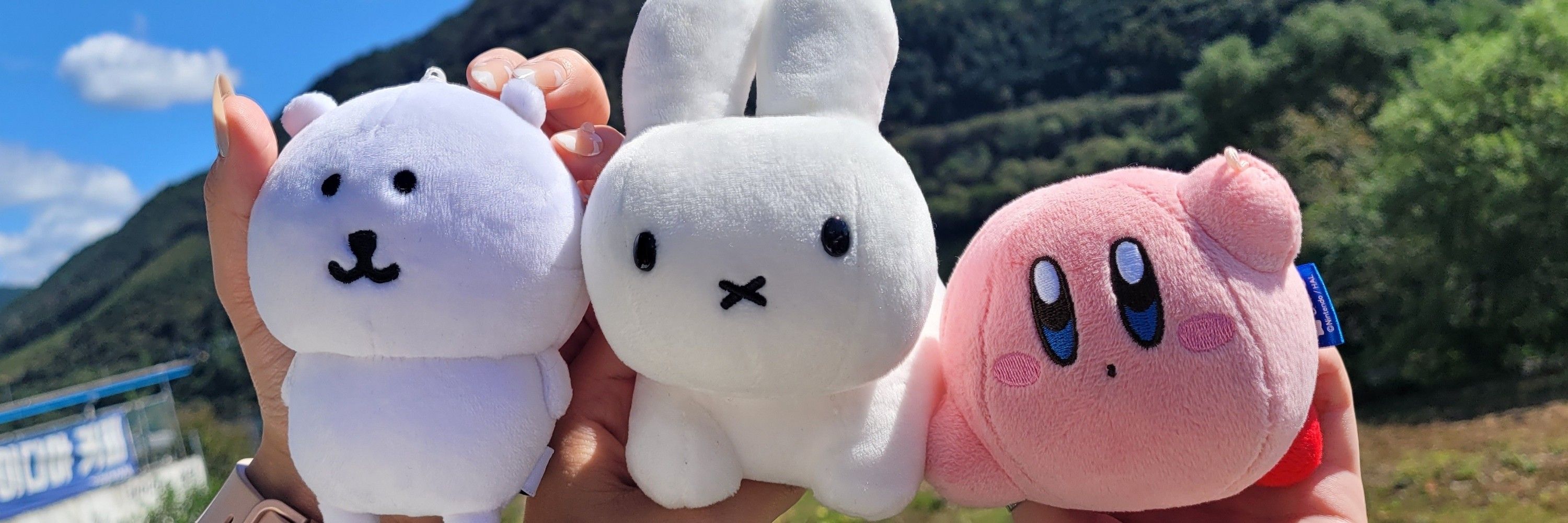 단앗☘️ ダン