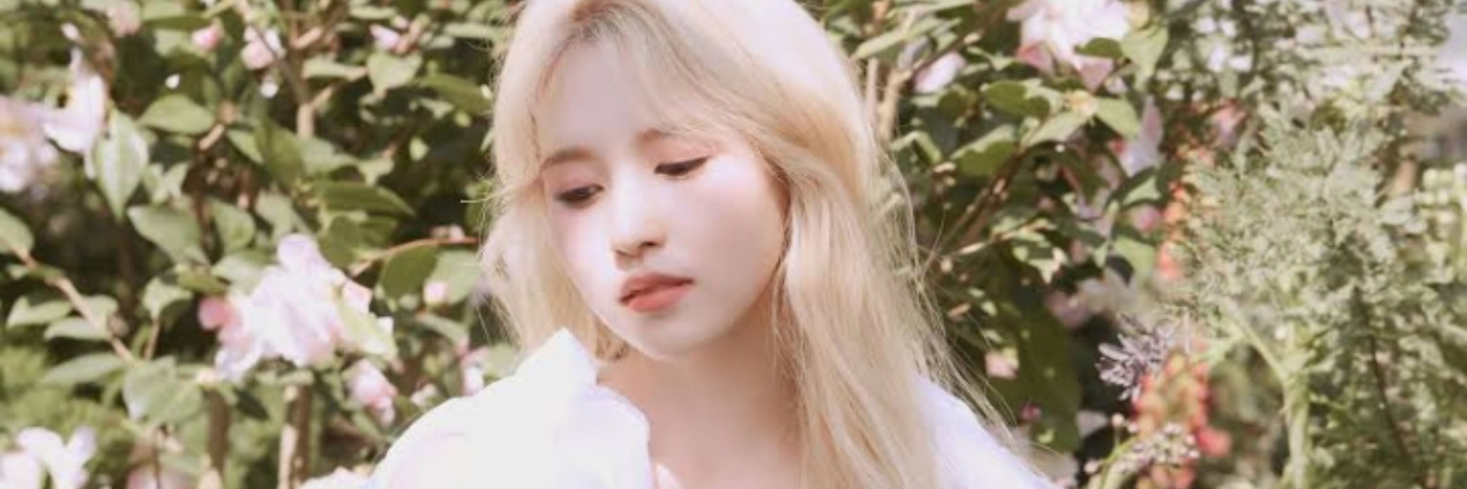 Mimi