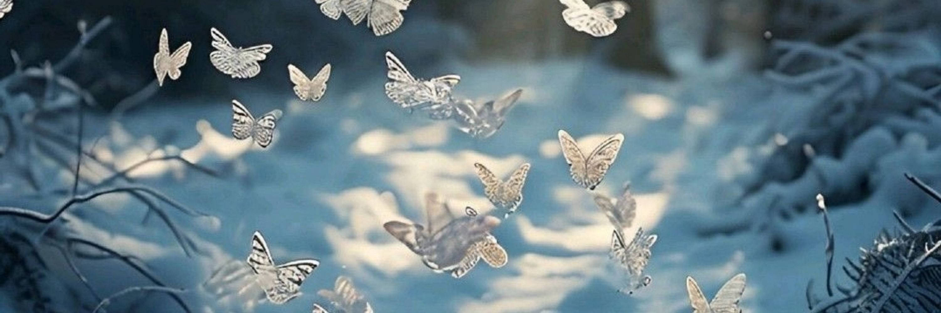 ستانلي 🦋