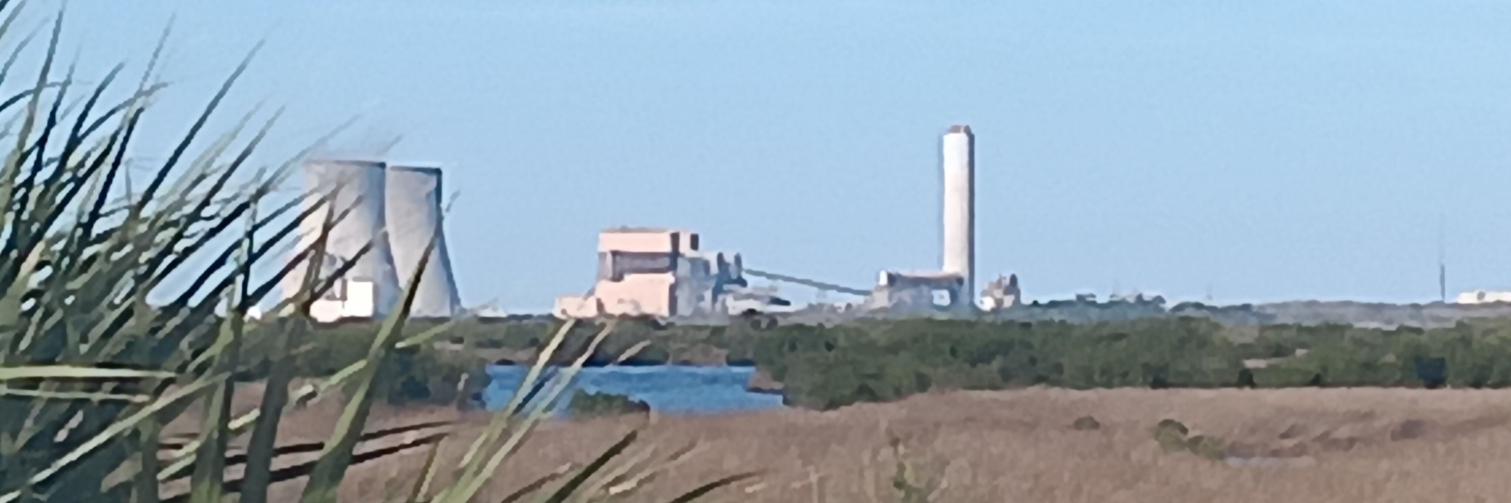 Kuzaaa