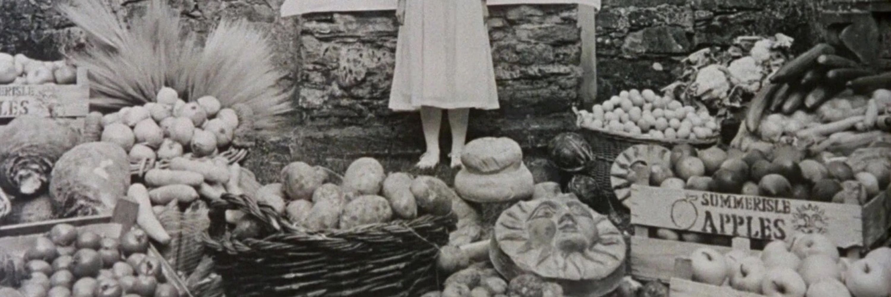 Christine Scott
