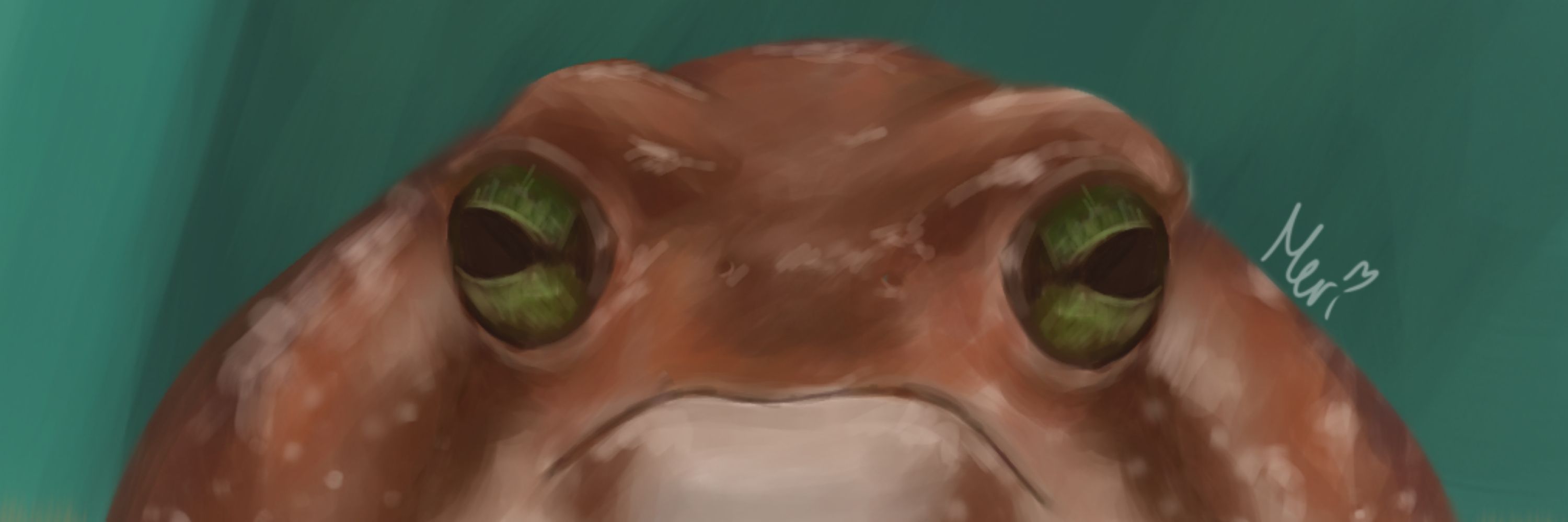 Meri🐸