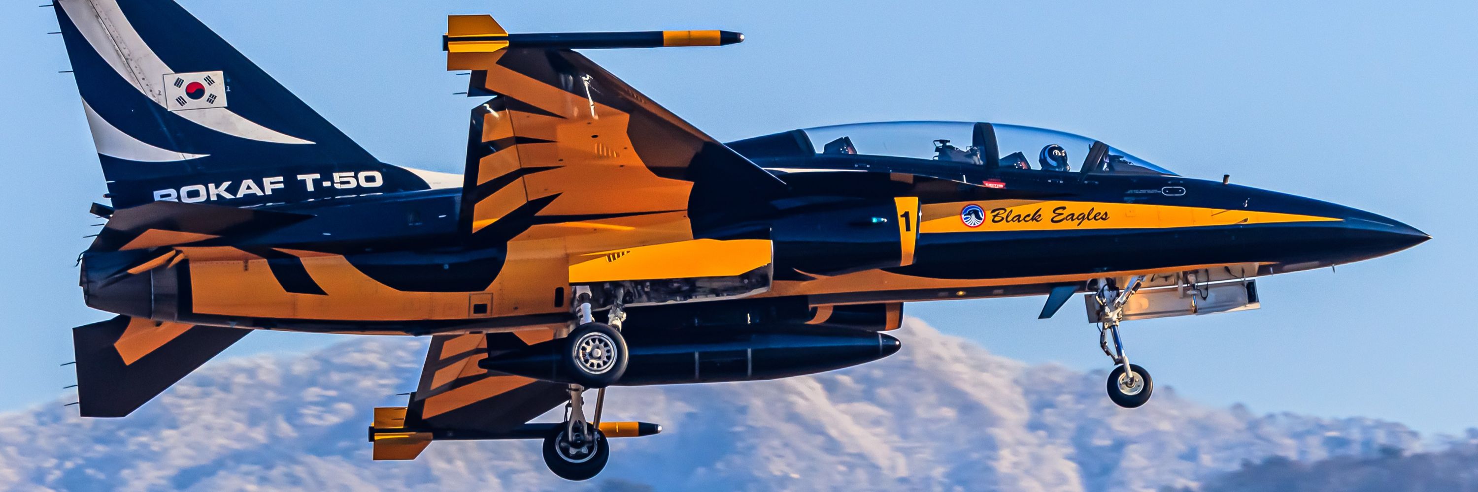 Hornet