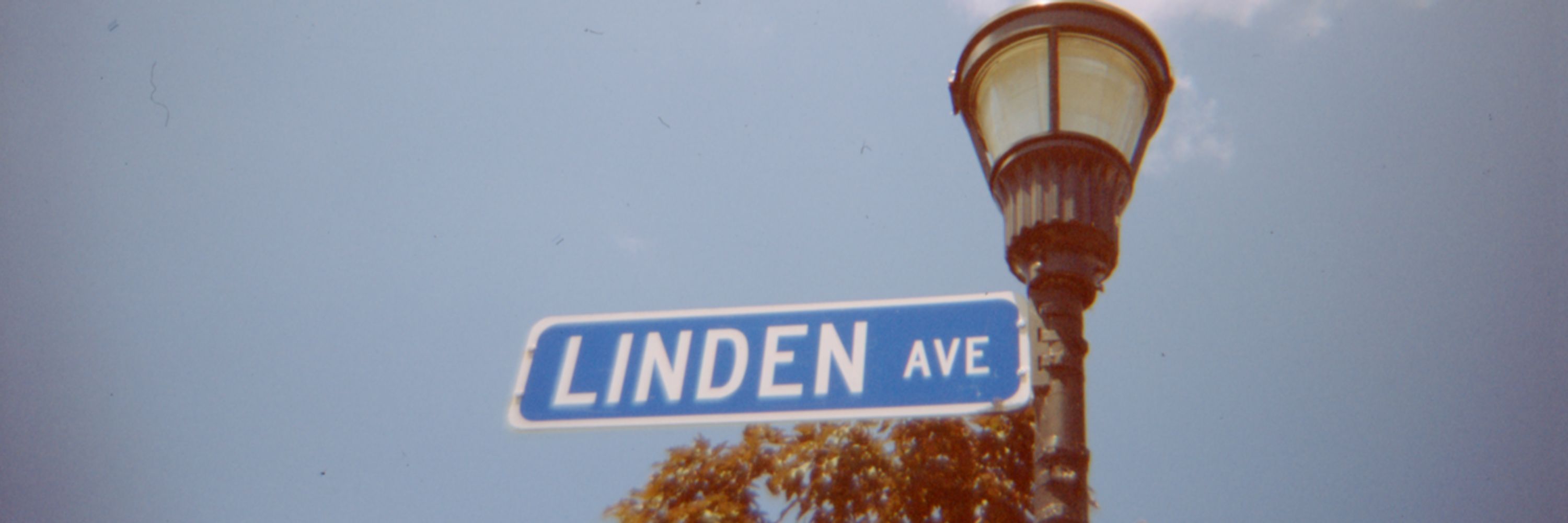 📷 Linden