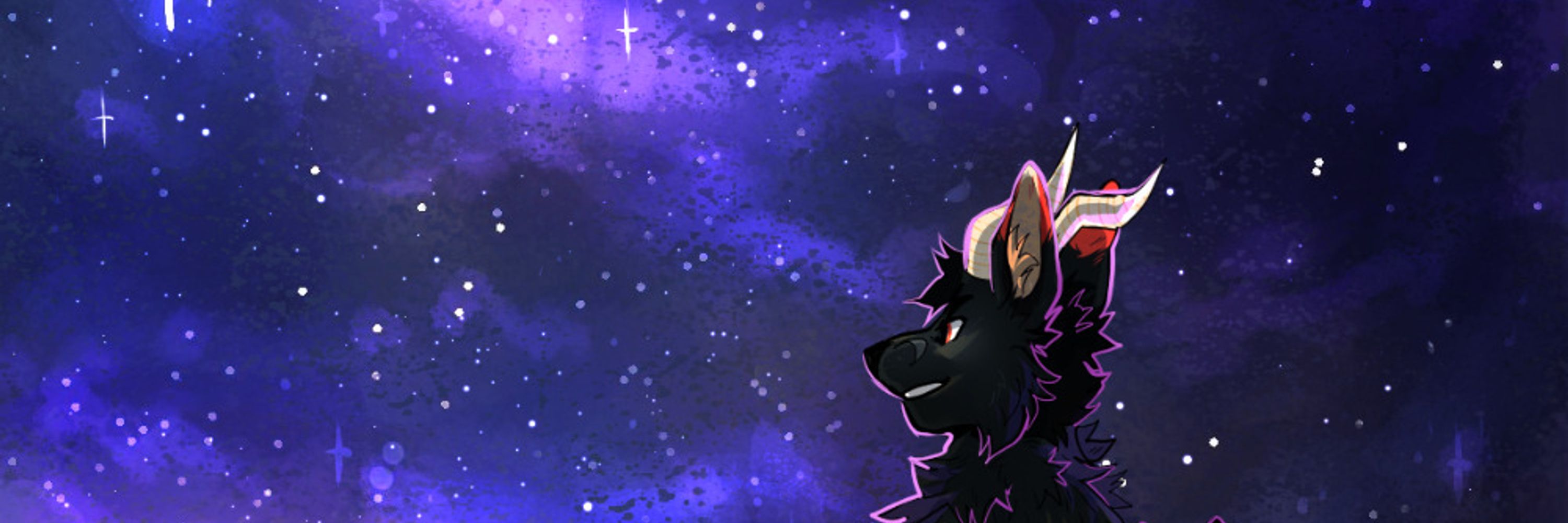 Profile banner