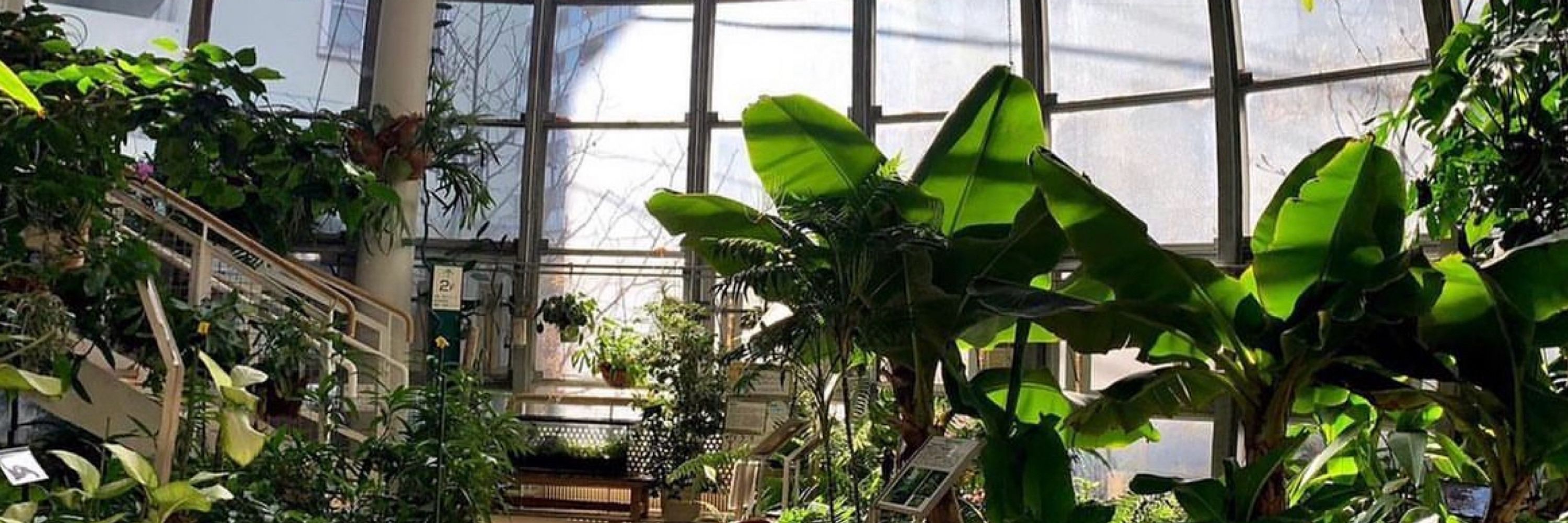 植物園の宮内元子
